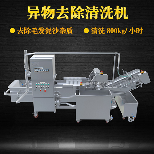 多功能水果清洗機(jī)，氣泡清洗，清洗800kg小時