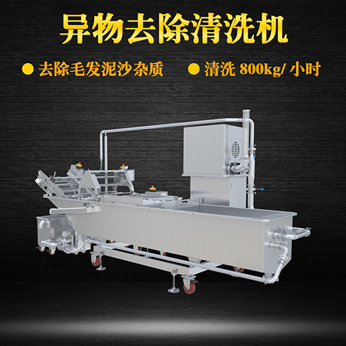 果蔬專用清洗機(jī)，氣泡清洗，清洗800kg小時(shí)